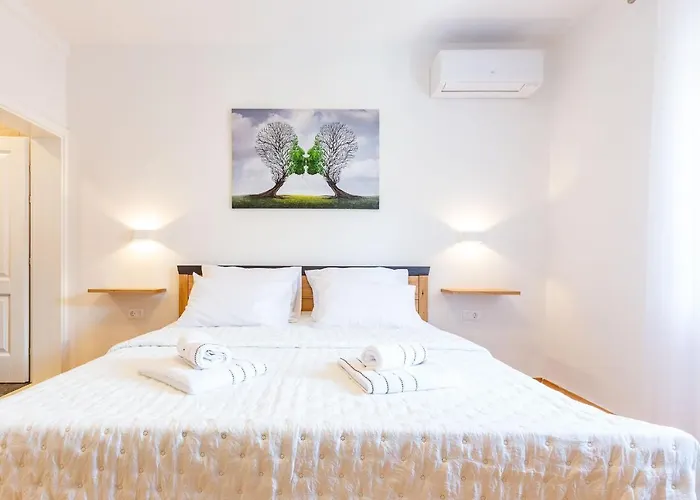 別荘 Mp Luxury With Swimming Pool ザダル